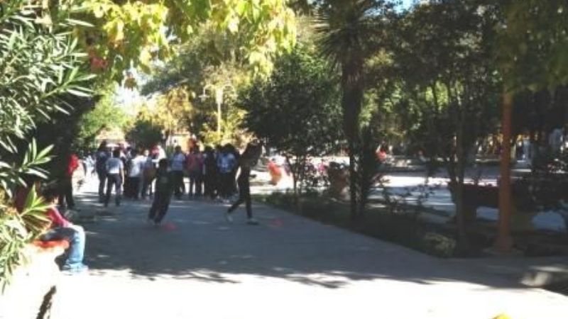 Promueven la actividad física