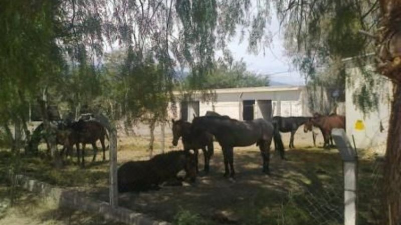 Convenio de cumplimiento efectivo