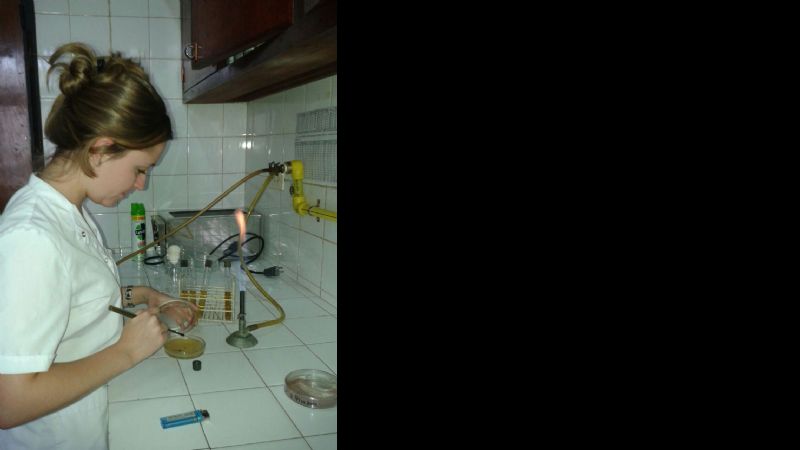 Programa de higiene y prevención en carnicerías