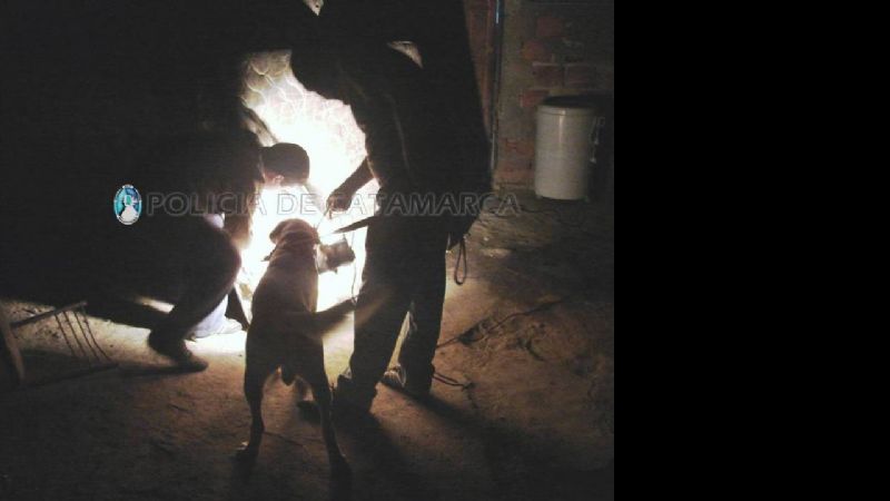 Desbaratan punto de venta de drogas en el Sur