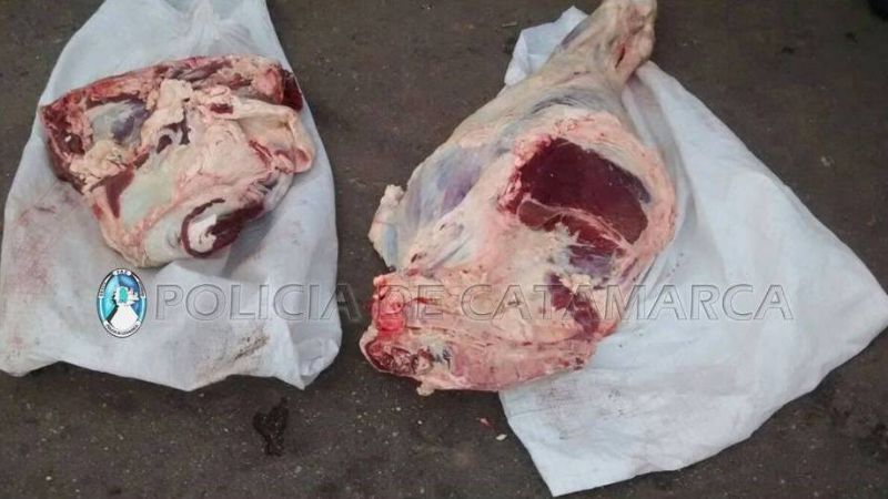 Empleados de Vialidad llevaban en un camión oficial 70 kilos de carne