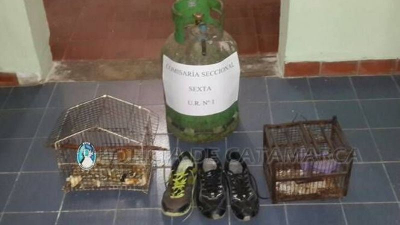 Adolescente demorado