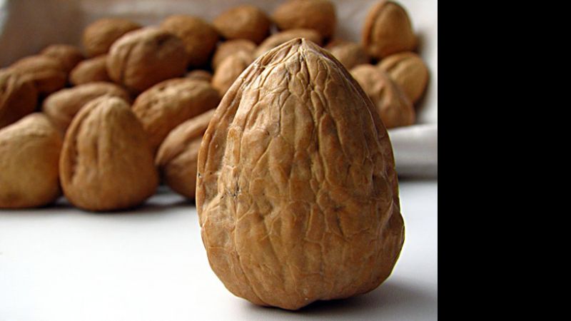 Planta procesadora de nuez