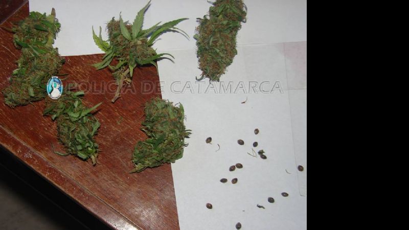 Arrestan a dos jóvenes con droga en el Sur capitalino