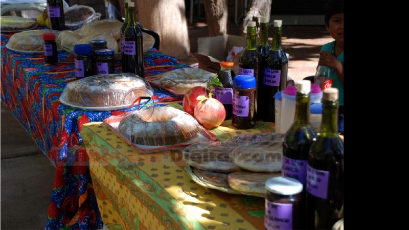 Se realizó la 1° Feria Artesanal y Regional