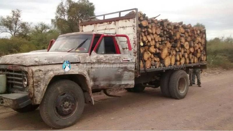Transportaban 10.000 kilos de leña sin la guía correspondiente