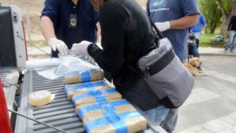 Decomisan importantes cargamentos de marihuana y cocaína en Neuquén
