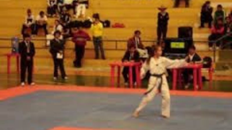 La práctica del Taekwondo WTF en Capital y Andalgalá