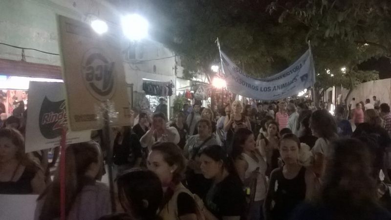 Marcha contra el maltrato animal