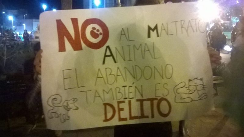 Marcha contra el maltrato animal