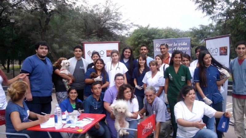 Campaña de vacunación de mascotas