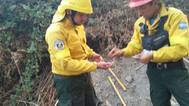 Brigadistas catamarqueños regresaron tras colaborar en los incendios en Chile y Chubut