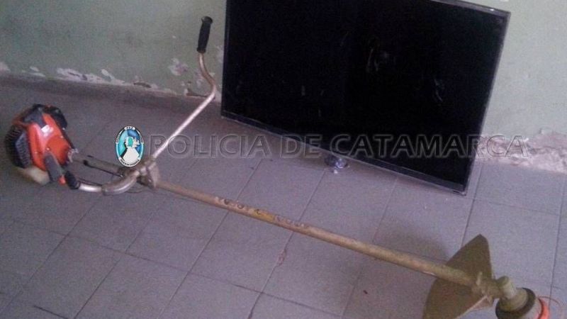 Recuperan LCD robado