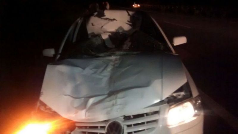 Auto chocó con un caballo