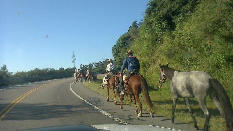Transitar con precaución por masiva presencia de peregrinos
