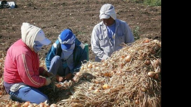 El trabajo esclavo representa la mitad de las víctimas de la trata