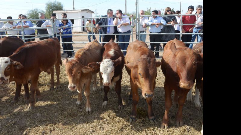 Lucía en los festejos por los 140 años de Recreo
