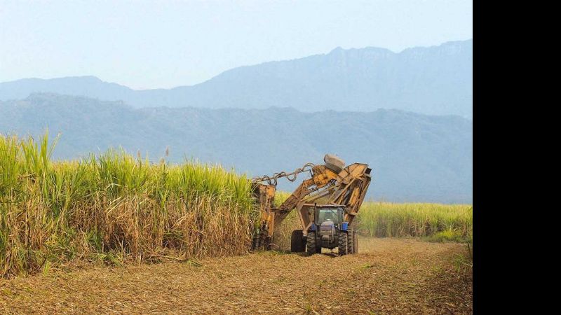 Gobernadores del NOA gestionan un aumento del alcohol en naftas