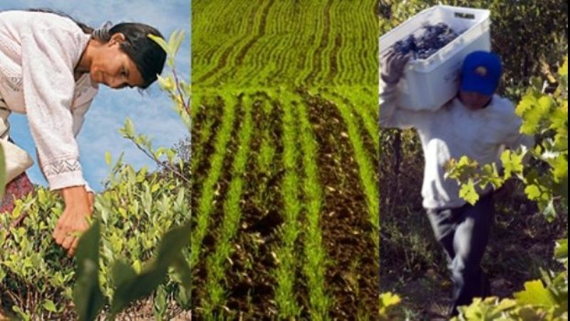 Economías regionales más de un año con caída de las exportaciones