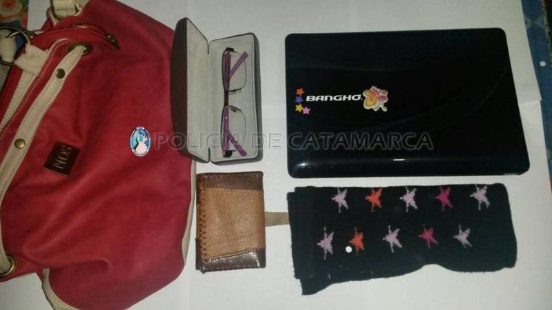 Aprehenden por robo a dos hippies en Capayán