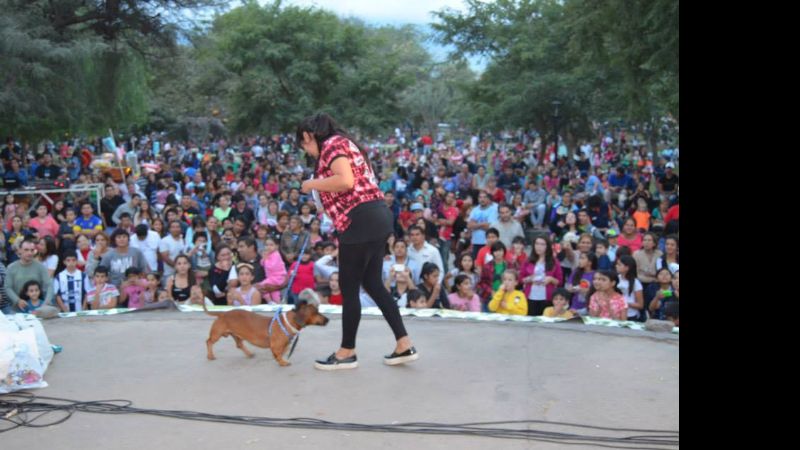 Más de 150 mascotas colmaron la Plaza El Aborigen
