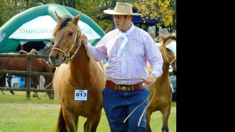 Catamarca tuvo una destacada actuación en la exposición de caballos criollos Salta B 2015