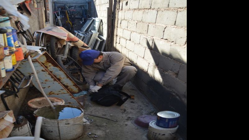 Tareas de prevención contra el Dengue