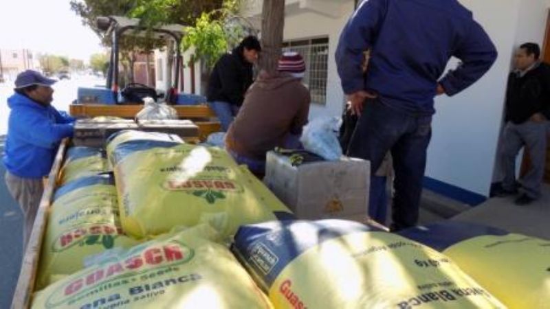 Entrega de semillas forrajeras a minifundistas