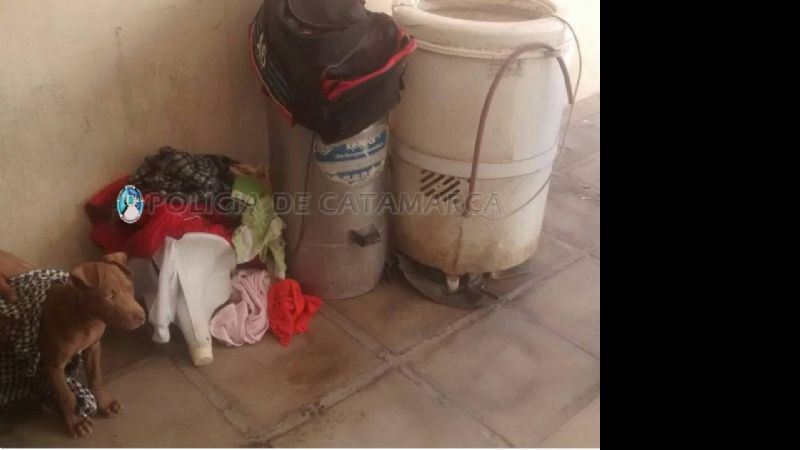 Familia atrapada con elementos robados y un cachorro de raza dentro de un lavarropas