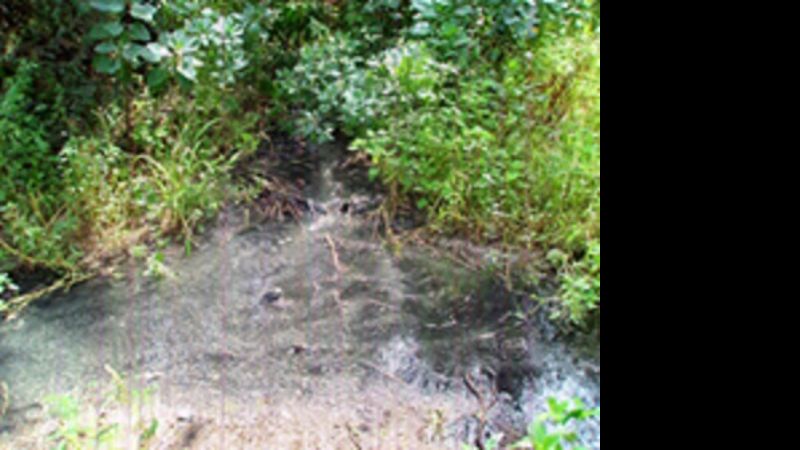 Siguen los reclamos por aguas contaminadas