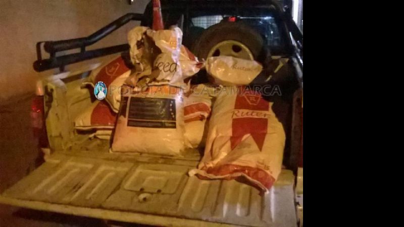 Aprehenden a dos sujetos y secuestran alimento para animales en Valle Viejo