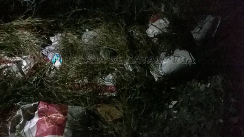 Aprehenden a dos sujetos y secuestran alimento para animales en Valle Viejo