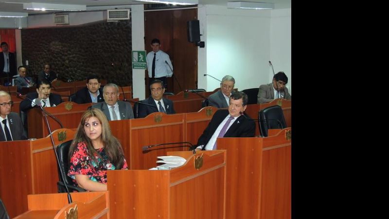 El Senado tratará mañana el pliego de Adet Caldelari