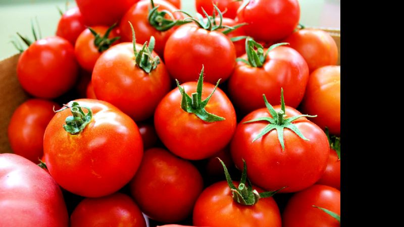 El precio del tomate por las nubes