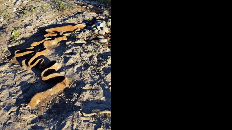 "Arte in Situ" inaugura la Galería a Cielo Abierto en la Quebrada del Tala