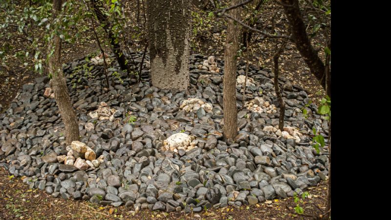 Nueva galería a cielo abierto, en la Quebrada del Tala