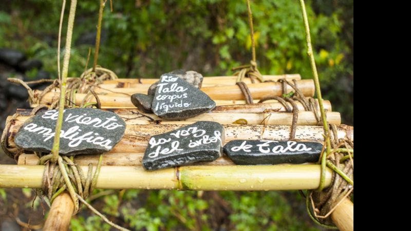 Nueva galería a cielo abierto, en la Quebrada del Tala