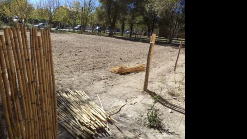 Avanzan en los trabajos en la huerta del hogar de ancianos