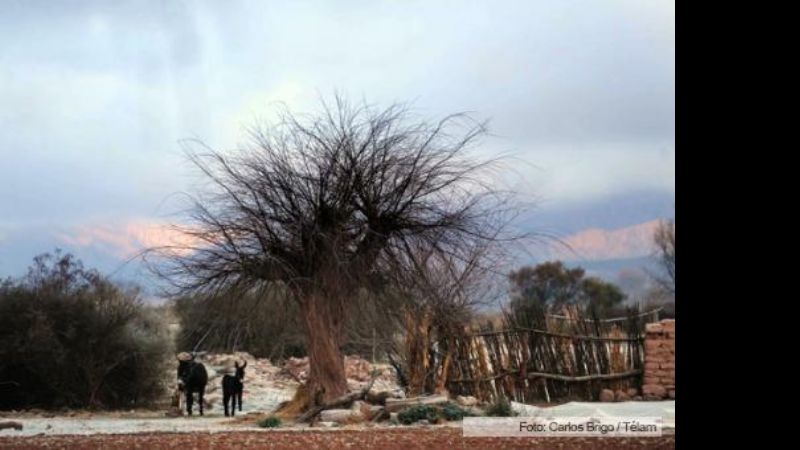 El frío polar se siente en gran parte del país con térmicas de hasta -8,5°