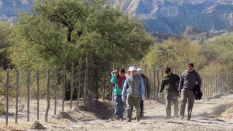 Entregarán leña a las escuelas en Santa María