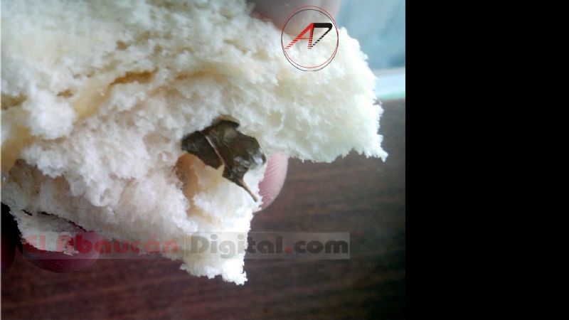 Encuentran hoja de coca dentro de un pan
