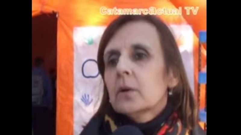 Muestra institucional de APANE