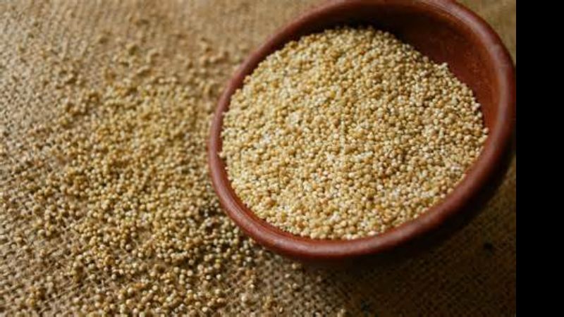 Los alimentos andinos, desde lo científico y lo poético