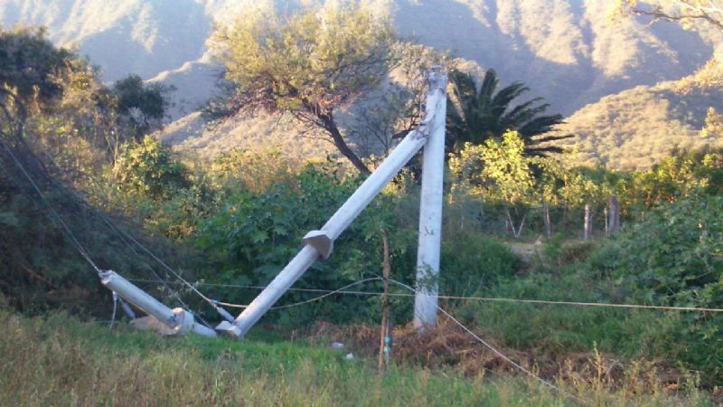El fuerte viento volteó un árbol y una torre de energía