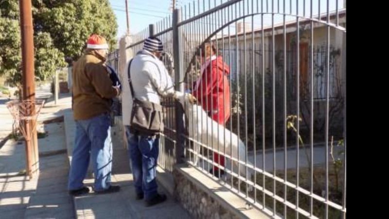 Se intensifica vacunación antirrábica