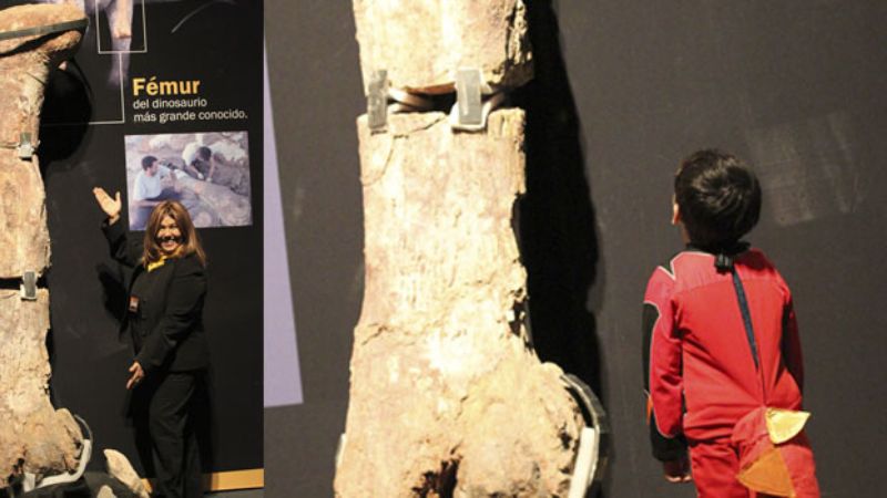 El dinosaurio más grande estará a la vista de todos