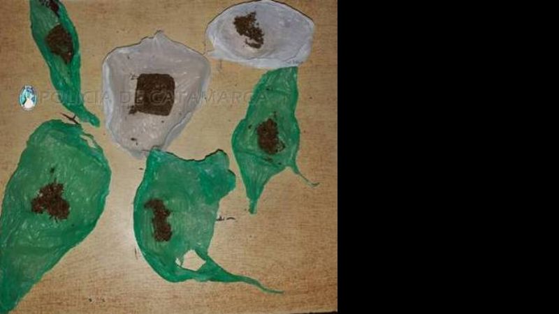 En el Sur, detenidos con droga