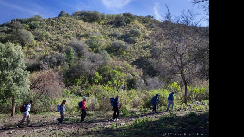 70 personas caminaron al Bosque de Arrayanes en Capayán