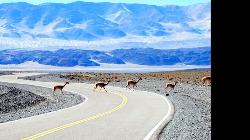 Normalidad en el tránsito por las principales rutas provinciales