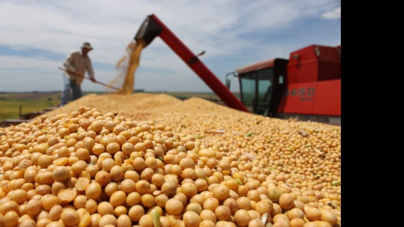 Científicos argentinos marcan un hito con la soja resistente a sequía